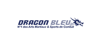 Logo Dragon Bleu